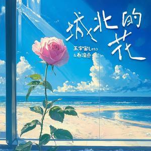 场景 在线 视频 剪辑西元
